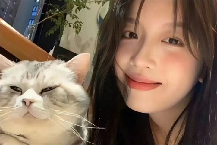 猪猪影视短剧故事板首屏影像